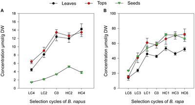 New vegetable varieties of Brassica rapa and Brassica napus with modified glucosinolate content obtained by mass selection approach